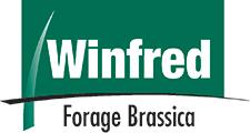 Winfred Forage Brassica
